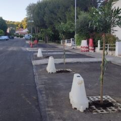 Notizie del 16Maggio